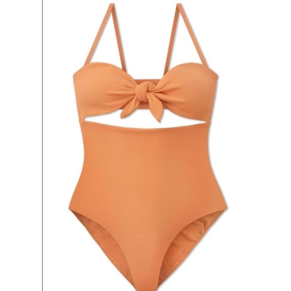 NWT WET Swimwear Krista One Piece in Terracotta